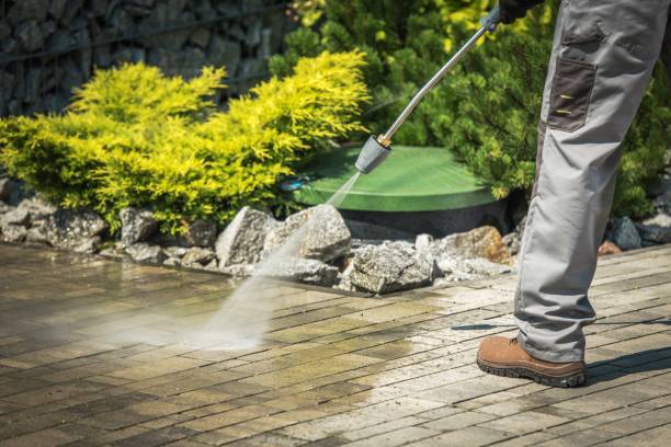Best Fence Cleaning  in Southgate, MI